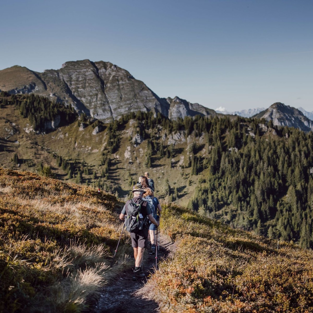 Wanderurlaub in Großarl