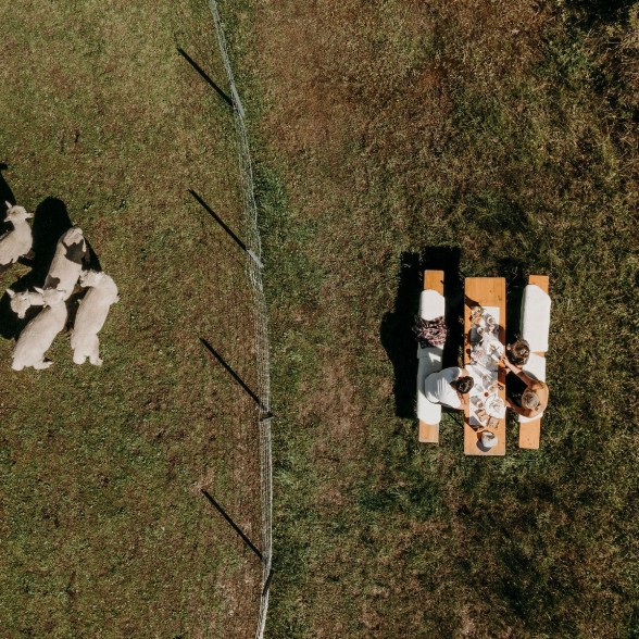 Familien-Picknick bei den Alpakas